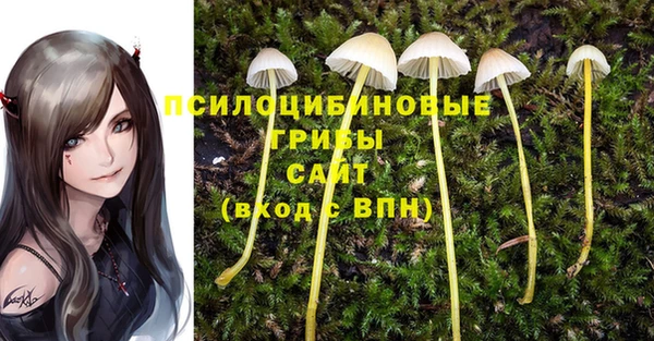кокс Нефтекумск