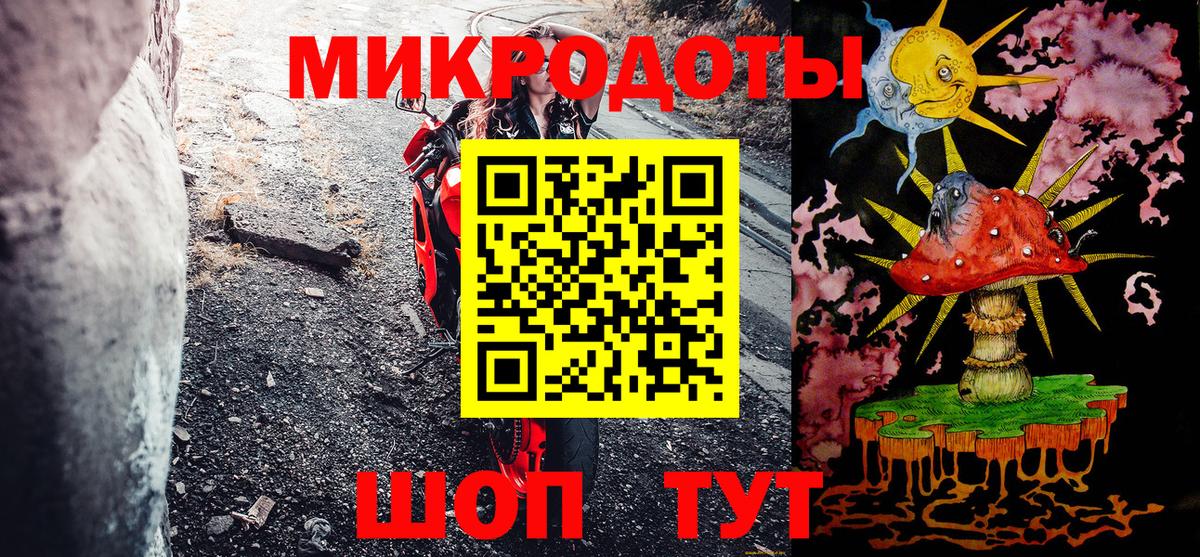 Псилоцибиновые грибы Psilocybine cubensis Нижнекамск