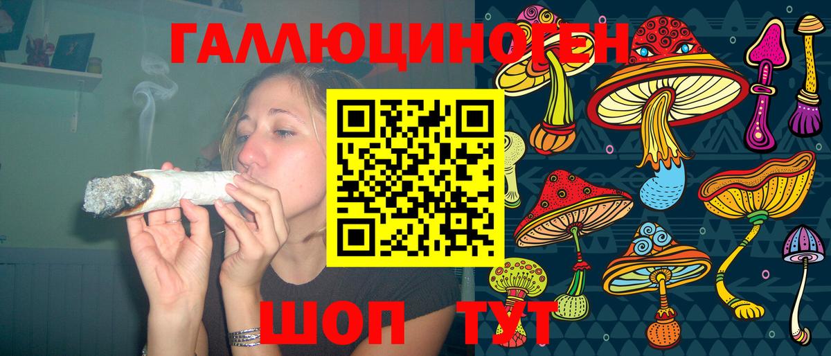 Псилоцибиновые грибы Psilocybe  Нижнекамск 