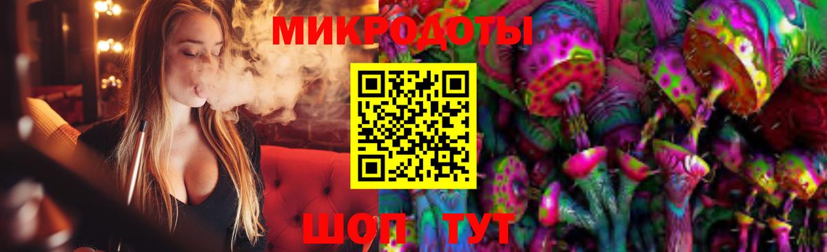 Псилоцибиновые грибы Psilocybe Нижнекамск